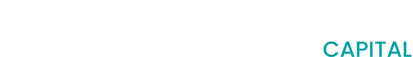 Bisnesia Capital Logo